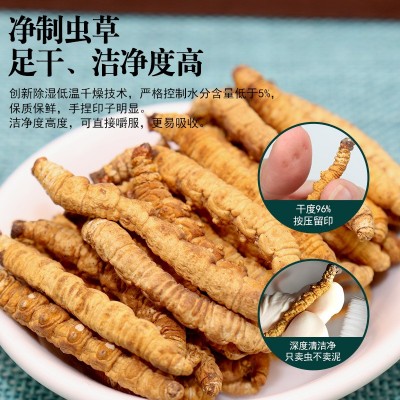 西藏那曲冬虫夏草干货正品头期纯肉大虫草优选10克经济自食补品 5g图4