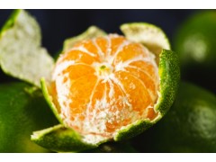 砂糖橘是碱性还是酸性