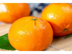 砂糖橘糖分高吗