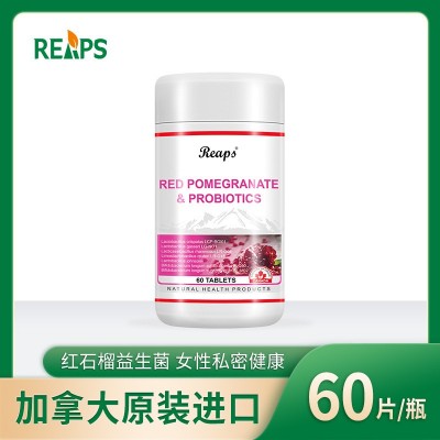 进口营养品红石榴益生菌加工 保健品代理招商 营养品现货批发工厂 100瓶