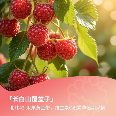 鲜榨果蔬汁覆盆子原浆苹果醋 零蔗糖小包装水果醋源头厂家批发 10件图4