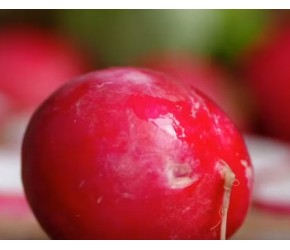 萝卜的养生作用