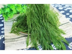 龙须菜的功效与作用