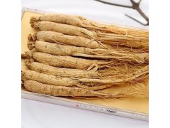 参芩白术颗粒的功效与作用