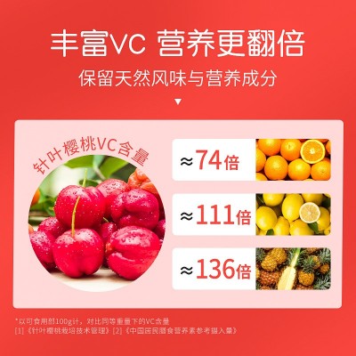 厂家直供中研膳美针叶樱桃VC片压片糖果复合营养咀嚼VC片 1瓶图3
