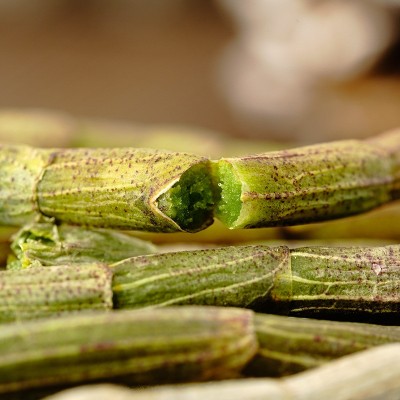 新鲜铁皮石斛鲜条 优选铁皮石斛500g 四年石斛枫斗产地霍山 2斤图3