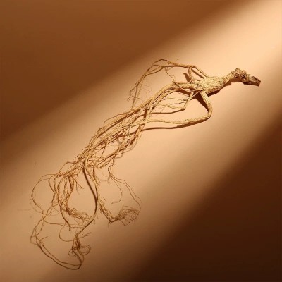 吉林长白山山参礼盒带证书礼袋人参干参滋补泡酒料直播一件代发 1盒图4