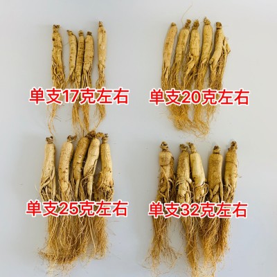 吉林人参 长白山人参 批发 干人参 生晒参 园参 东北特产 白参图3