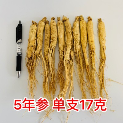 吉林人参 长白山人参 批发 干人参 生晒参 园参 东北特产 白参图5