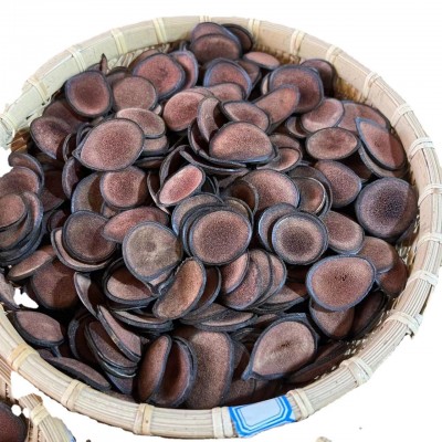 鹿茸片 红粉区 红粉片 梅花鹿茸 主角片 长白山鹿茸图5