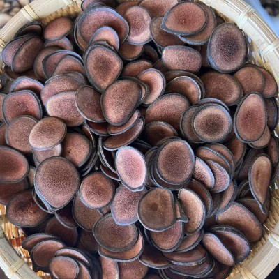 鹿茸片 红粉区 红粉片 梅花鹿茸 主角片 长白山鹿茸图2