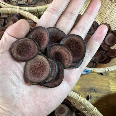 鹿茸片 红粉区 红粉片 梅花鹿茸 主角片 长白山鹿茸图3