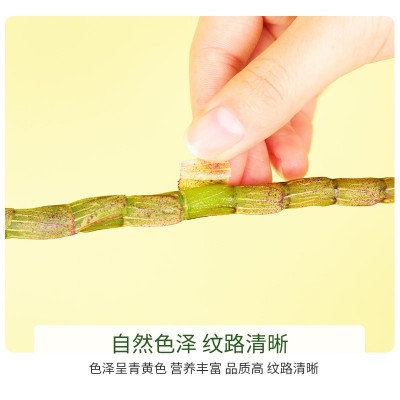 正品霍山铁皮石斛鲜条仿野生新鲜石斛中药材石斛鲜条产地直发图4