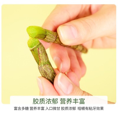 正品霍山铁皮石斛鲜条仿野生新鲜石斛中药材石斛鲜条产地直发图3