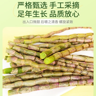 正品霍山铁皮石斛鲜条仿野生新鲜石斛中药材石斛鲜条产地直发图2