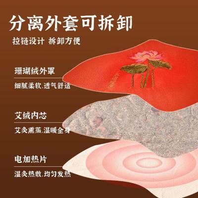 电加热坐垫家用艾绒艾灸垫熏蒸仪办公室宫暖电热毯垫艾草垫子批发图4