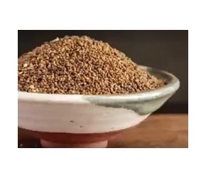 今天介绍第六十七味中药材，菟丝子#中医 #菟丝子 #中药材 #中草药