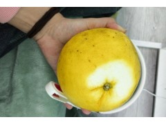 葡萄柚的健康效益有哪些