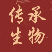 企业logo