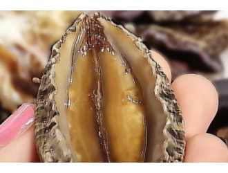 鲍鱼怎么做好吃又简单