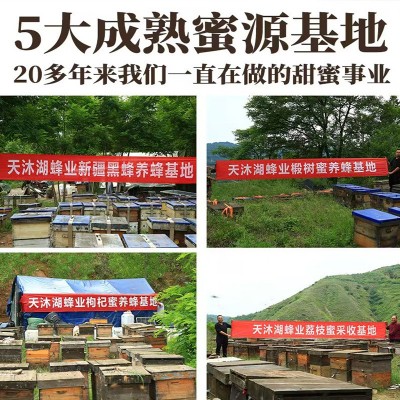 蜂场直发小块杯装成熟蜂窝巢即食农家迷你便携独立小包装 1瓶图3