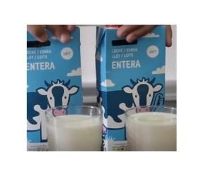 人为什么不喝猪奶，其实猪奶的营养价值很高知识