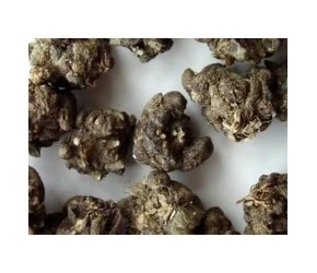 每天认识一味药：猫爪草,健康养生,中医药