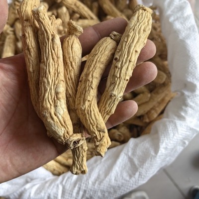 人参粗条批发支持代发1000克白参批发图4
