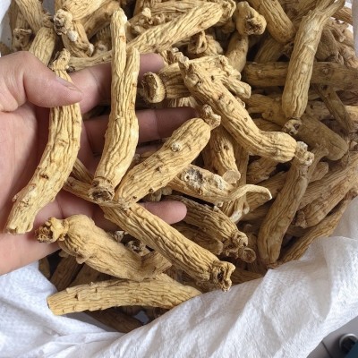 人参粗条批发支持代发1000克白参批发图3