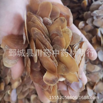 红参片500g【川药药业】中药材批发供应 现货上市 实物拍摄图4