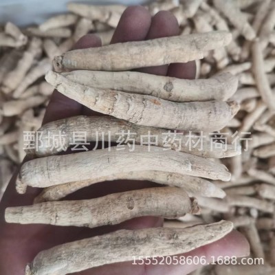西洋参个500g【川药药业】中药材现货批发供应【西洋参个】