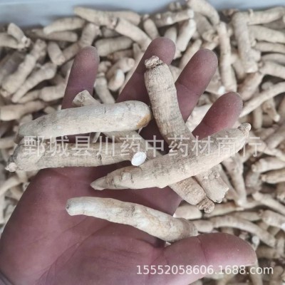 西洋参个500g【川药药业】中药材现货批发供应【西洋参个】图4