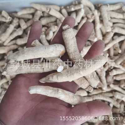 西洋参个500g【川药药业】中药材现货批发供应【西洋参个】图3