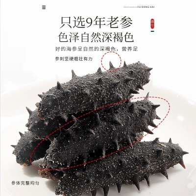 福东海海参120克 福凤礼盒装煲汤食材原材料送礼批发代发微商药材图4