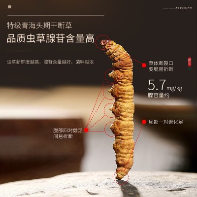 福东海冬虫夏草10克/罐 青海冬虫夏草头期干虫草冻干干货批发代发图3