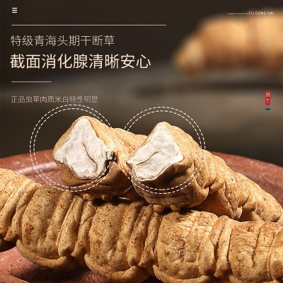 福东海冬虫夏草10克/罐 青海冬虫夏草头期干虫草冻干干货批发代发图2