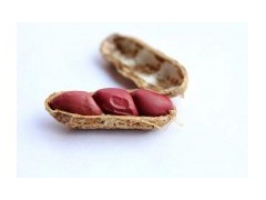 生花生和熟花生，哪个更营养？