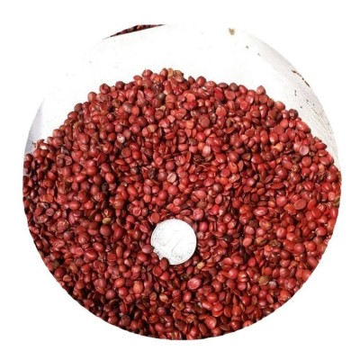 酸枣仁 低温烘培酸枣仁98货挑选颗粒饱满各种规格齐全支持代发图5