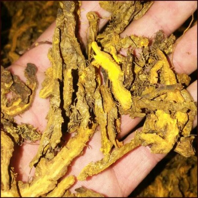 批发中药材 黄连片黄连个鸡爪黄连各种规格中药材批发 量大从优图2