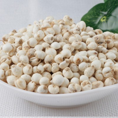 150克装四川小川贝 贝母 产地批发川贝 平贝 浙贝 大货请私聊图2