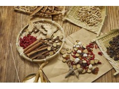 中医养生食疗：古今共济的健康之道