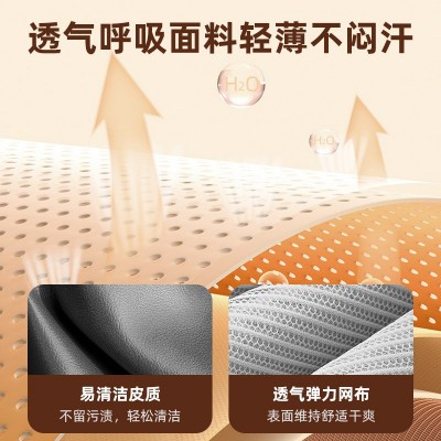 跨境腰部按摩器家用电动上下移动推拿背部腰间盘脉冲按摩加热靠垫图4