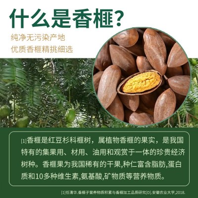 香榧油凝胶糖果软胶囊源头工厂榧籽油香榧油凝胶糖果软胶囊图3