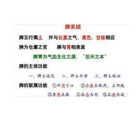 中医基础知识～脾胃