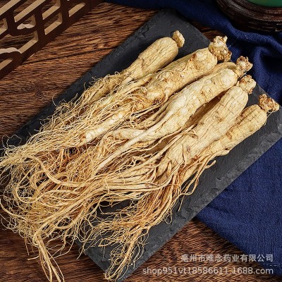 批发各种规格东北原皮白参 长白山生晒参盒装500克白全须干人参图3
