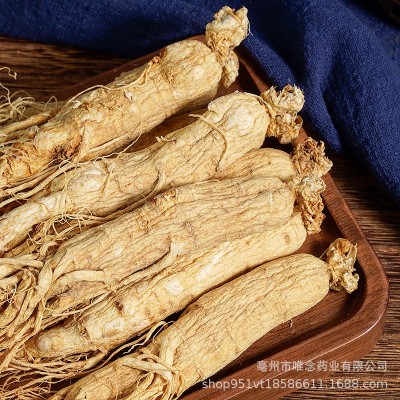批发各种规格东北原皮白参 长白山生晒参盒装500克白全须干人参图2
