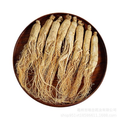 批发各种规格东北原皮白参 长白山生晒参盒装500克白全须干人参图5