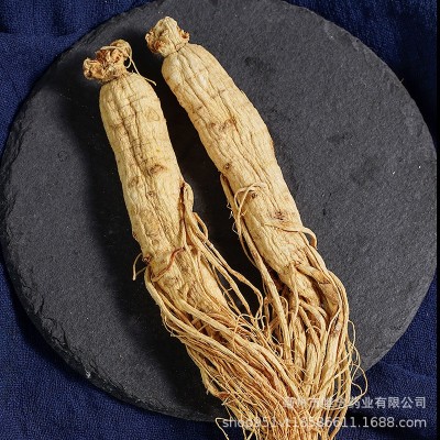 批发各种规格东北原皮白参 长白山生晒参盒装500克白全须干人参图4