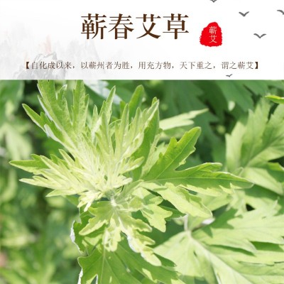 厂家五年陈艾艾加长加粗蕲艾艾绒灸贴盒装艾烛贴批发图2