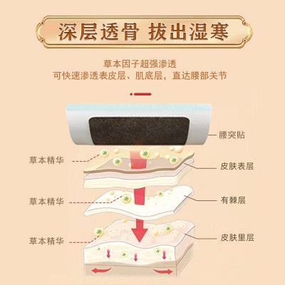 腰椎贴批发蜂蜜贴老黑膏腰部扭伤不适间盘突出疼痛劳损膏药贴批发图2
